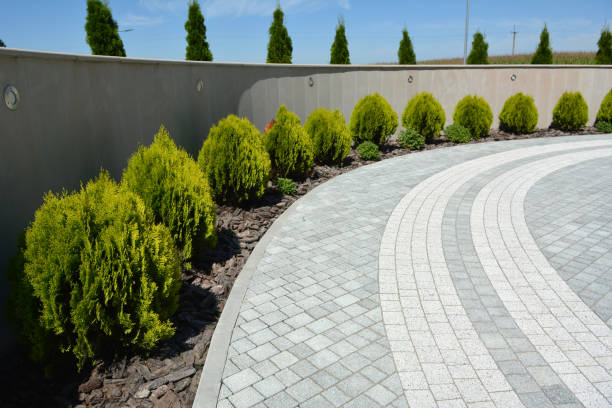 Best Paver Driveway Replacement  in Untain View, MO